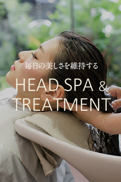 毎日の美しさを維持する HEAD SPA & TREATMENT